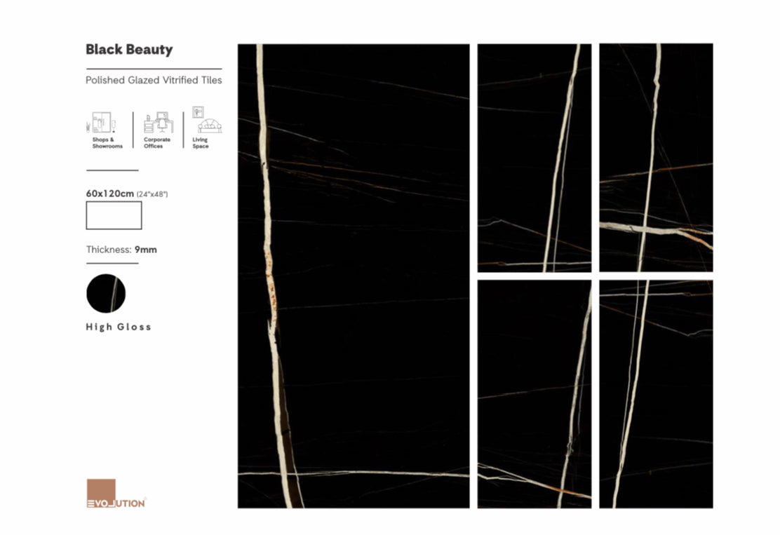 Black Beauty 60x120 image 1