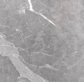 Rosa Persia image 1