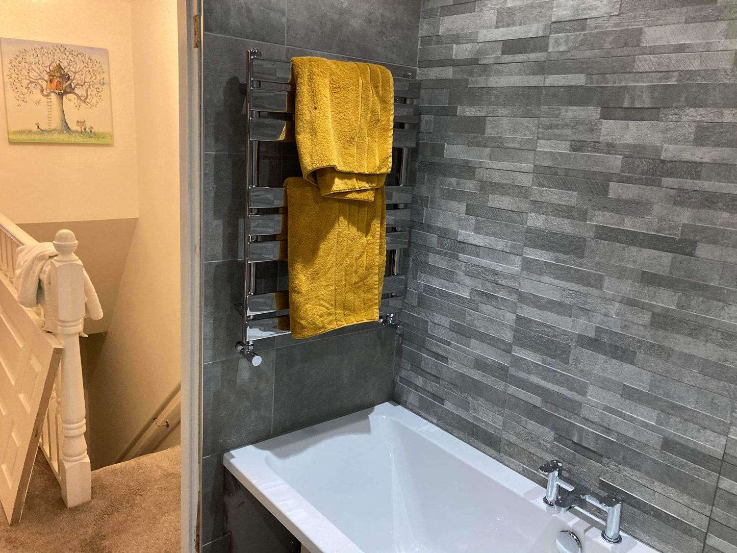 Volcano Grey 60x30 (price per m2) image 3