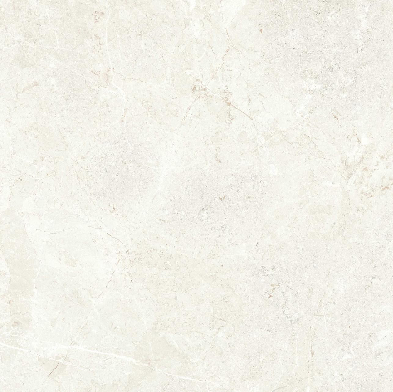 Palmero image 4