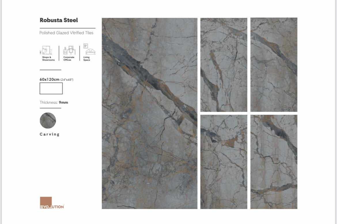 Robusta Steel 60x120 image 1