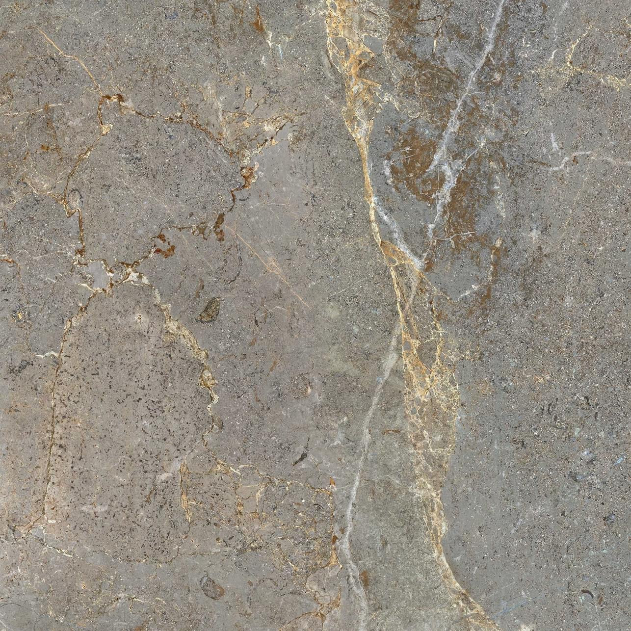 Palmero image 1