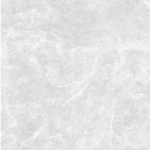355 Polished Porcelain image 1