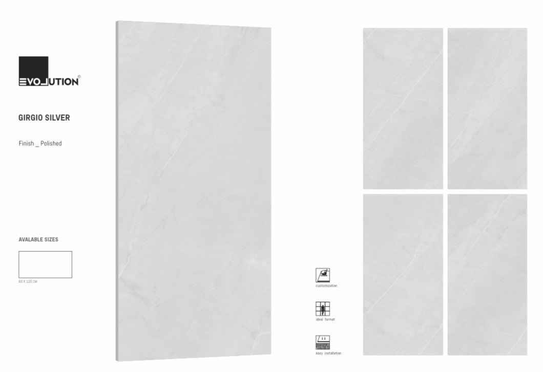 Girgio Silver 60x120 image 1