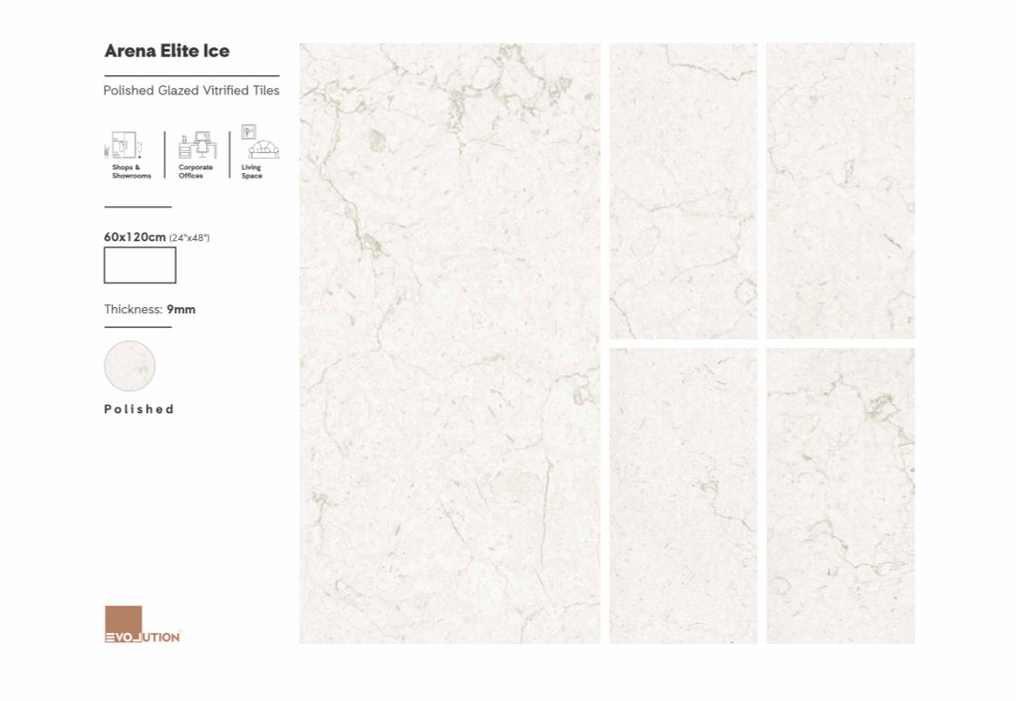 Arena Elite Ice 60x120 image 1