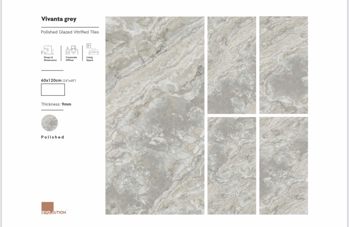 Vivanta Grey 60x120 image 1