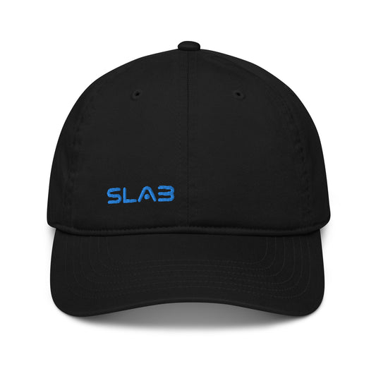 SLAB Organic dad hat image 0