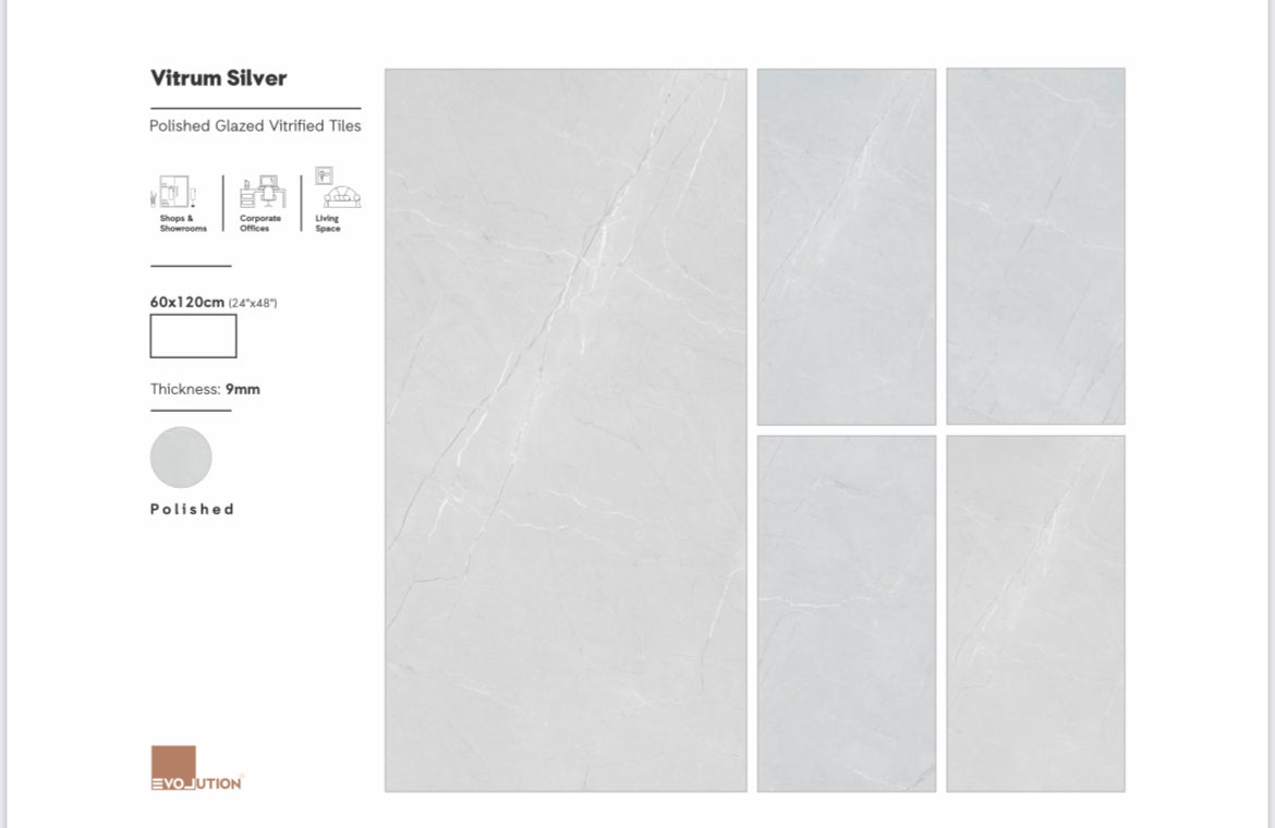 Vitrum Silver 60x120 image 1