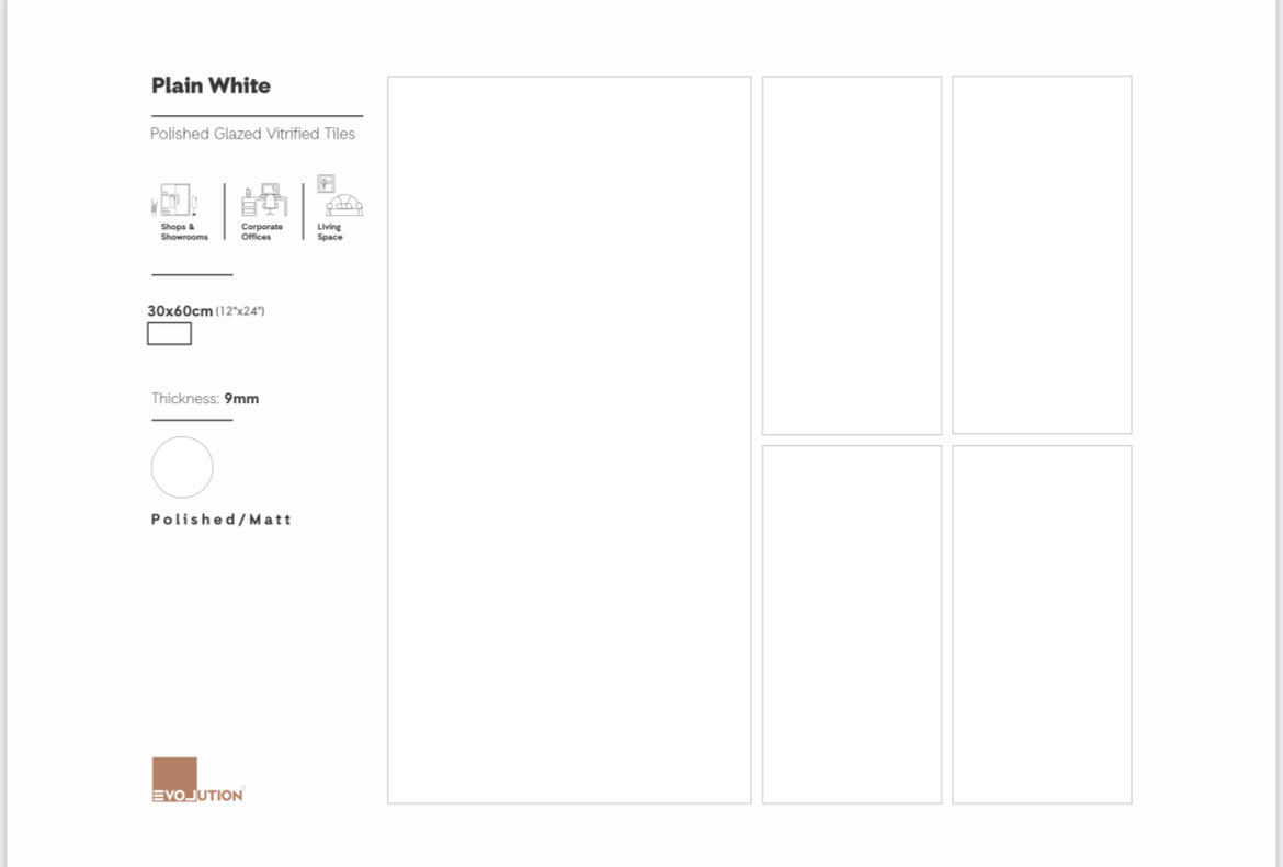 Plain White Matt 60x120 image 1